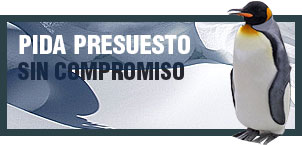 Pida Presupuesto sin Compromiso